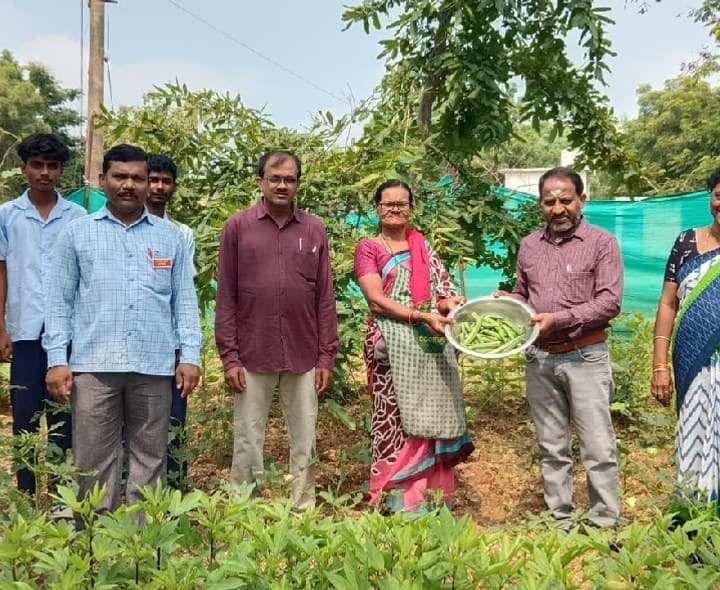 ఓబులాపూర్ పాఠశాలలో బడి తోట - Udayam
