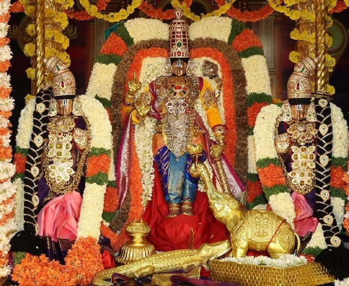 తిరుమలలో తగ్గిన భక్తుల రద్దీ - Udayam