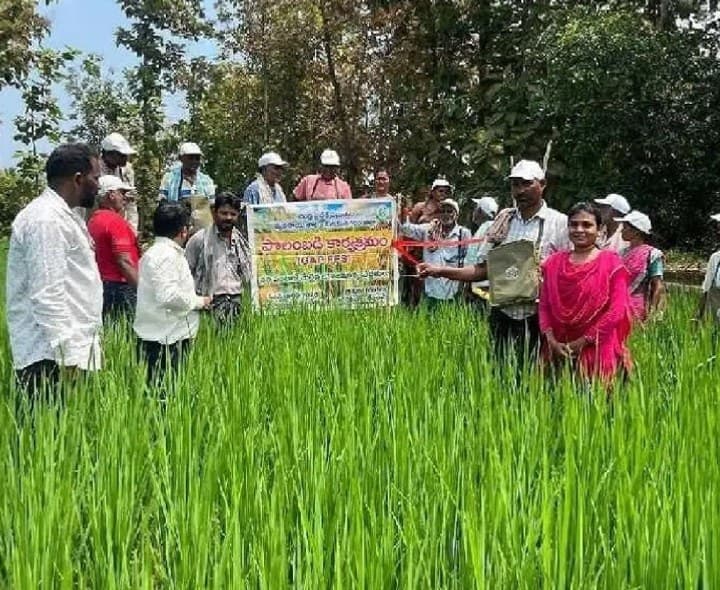 గరుగుబిల్లిలో పొలంబడి కార్యక్రమం - Udayam