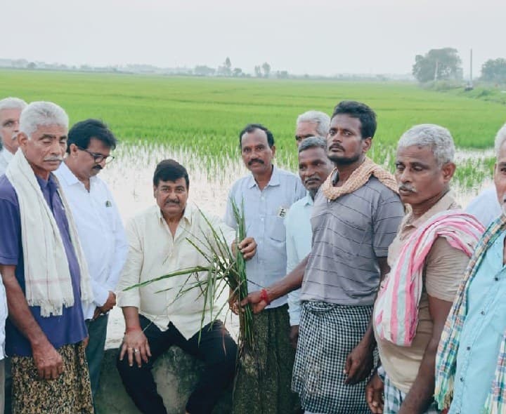 ముంపుకు గురైన పొలాలను పరిశీలించిన ధర్మాన - Udayam