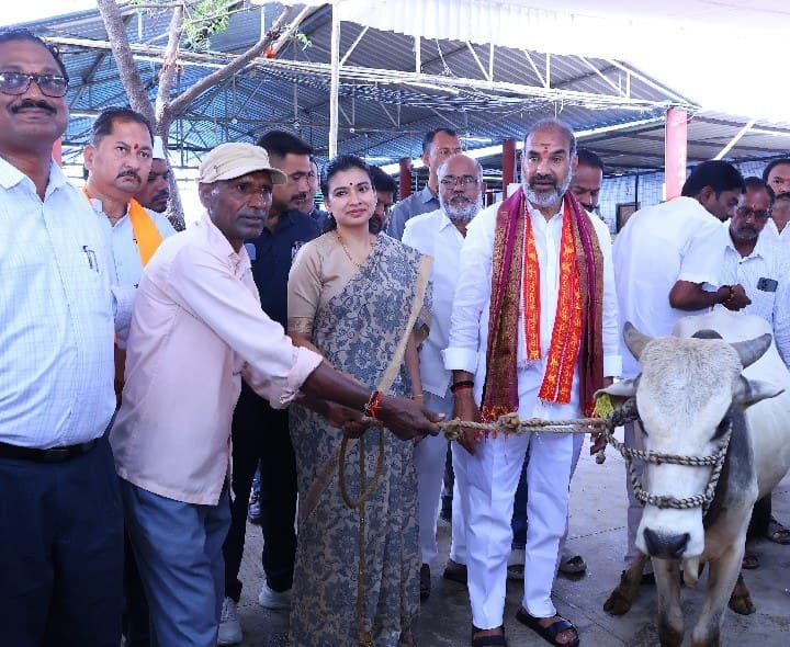రాజన్న ప్రసాదంగా రైతులకు కోడెల పంపిణీ - Udayam
