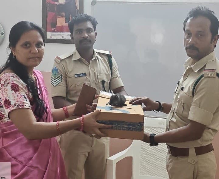 పునుగు పిల్లిని రక్షించిన అటవీ శాఖ అధికారులు - Udayam