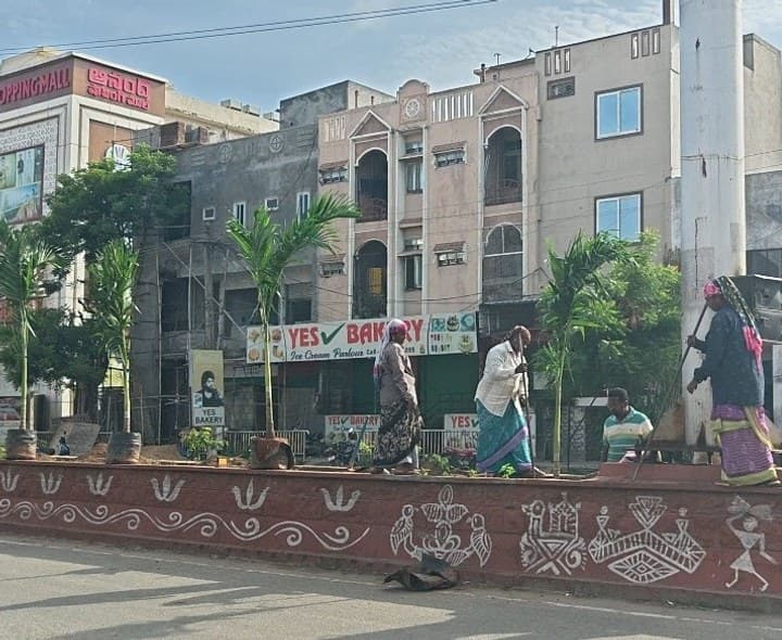 కోనో కార్పస్ కు బదులు ఆయా రకాల మొక్కలు