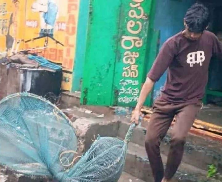 వీది కుక్కల నివారణకు ప్రత్యేక డ్రైవ్ - కమీషనర్ - Udayam