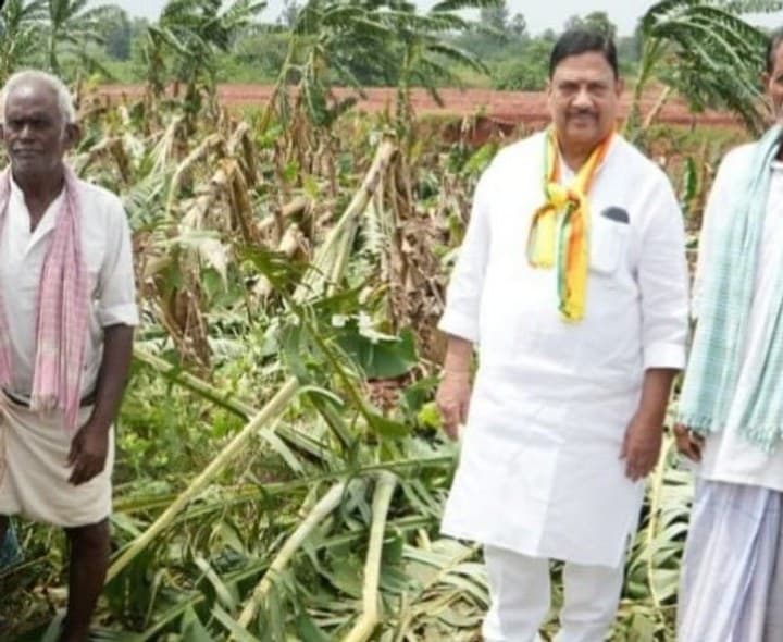 దెబ్బతిన్న అరటి తోటలు పరిశీలించిన ఎమ్మెల్యే - Udayam