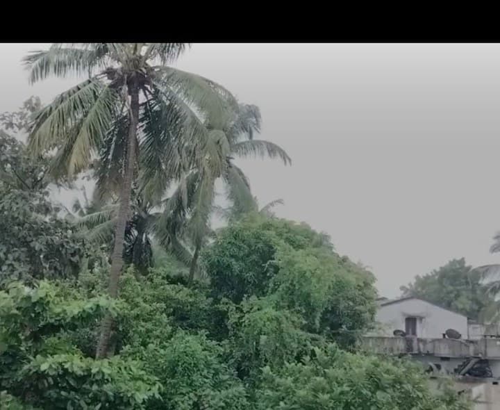 లావేరులో ఎడతెరిపి లేని వర్షం - Udayam