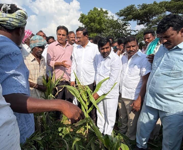 ఎండిన పంటలను పరిశీలించిన కేటీఆర్ - Udayam