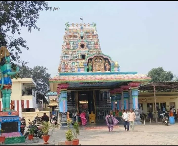 నేటి నుంచి వైకుంఠపురంలో పవిత్రోత్సవాలు - Udayam