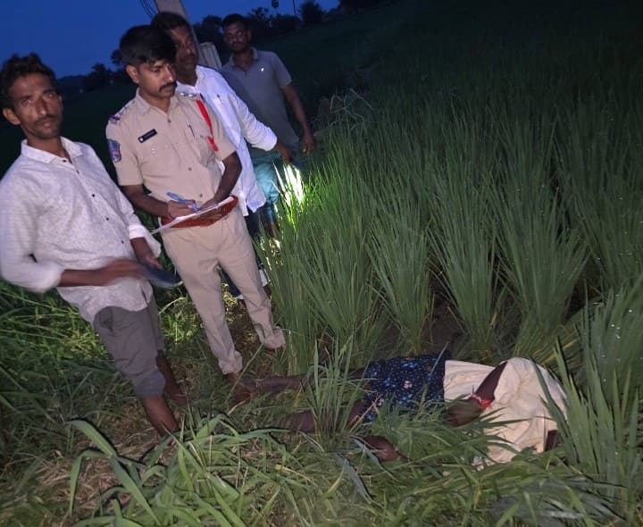 గడ్డి కోస్తుండగా విద్యుత్ షాక్.. కూలీ మృతి - Udayam