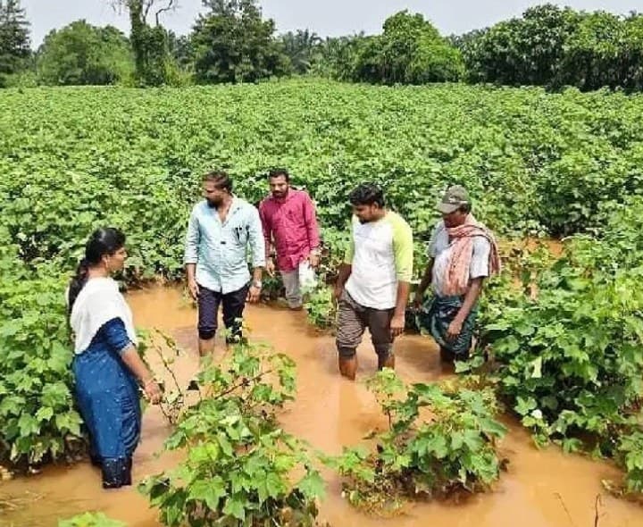 తెగుళ్ల నివారణకు సూచనలివే - Udayam