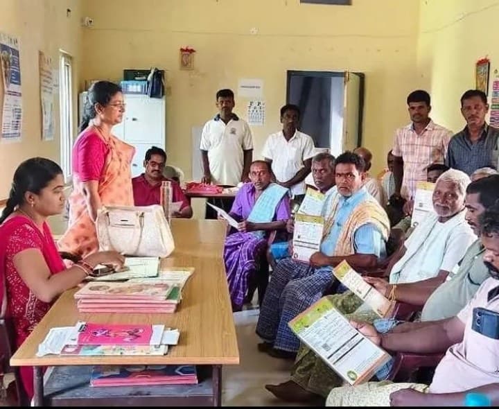 వరి సాగులో యాజమాన్య పద్ధతులు పాటించండి - Udayam
