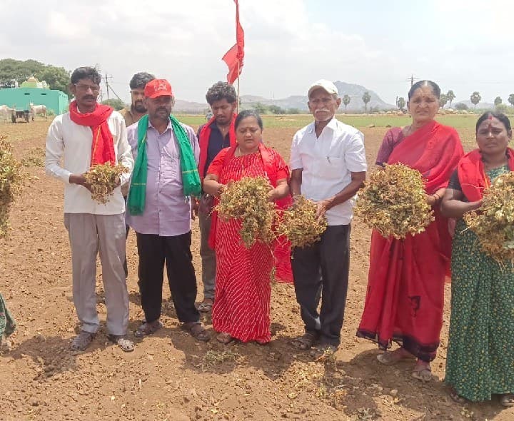 ప్రతి రైతుకు ఎకరాకు 50,000 నష్టపరిహారం ఇవ్వాలి - Udayam