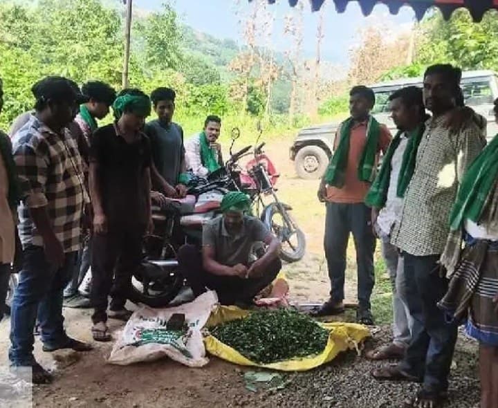 కురుపాం మండలంలో ప్రకృతి వ్యవసాయంపై అవగాహన - Udayam