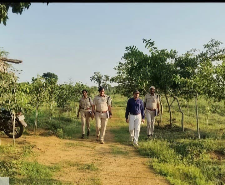 హన్సన్పల్లి ప్లాంటేషన్ను తనిఖీ చేసిన అధికారులు - Udayam