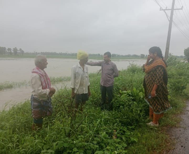 కిర్లంపూడి మండలంలో 650 ఎకరాల్లో వరిపంటకు ముంపు - Udayam