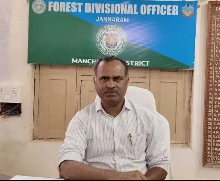 అక్టోబర్ 1 నుండి జంగిల్ సఫారీ సేవలు పునః ప్రారంభం - Udayam