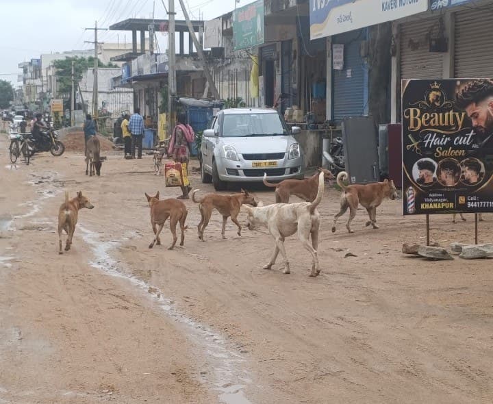 కుక్కల నియంత్రణపై ప్రత్యేక చర్యలు అవసరం