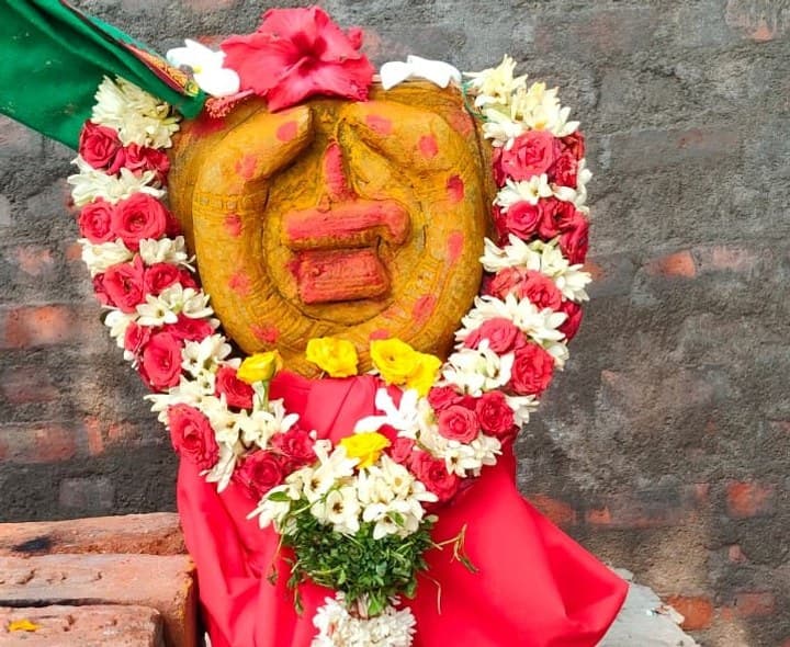 నాగలింగేశ్వర స్వామికి ప్రత్యేక పూజలు - Udayam