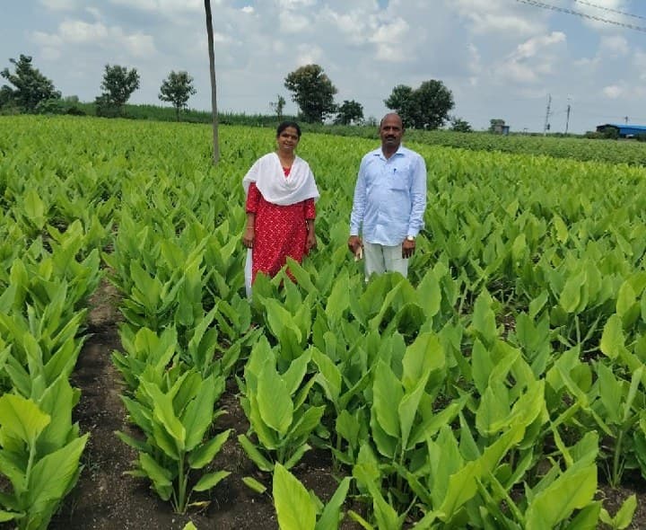 సారంగాపూర్ మండలంలో పసుపు తోటలను పరిశీలించిన ఉద్యాన అధికారి సాదుల మౌనిక - Udayam
