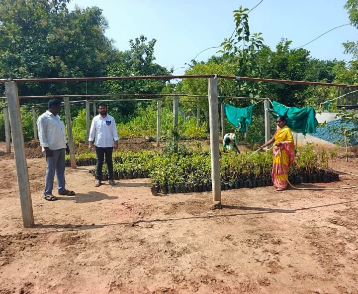 మొక్కల పరిరక్షణకు చర్యలు - Udayam