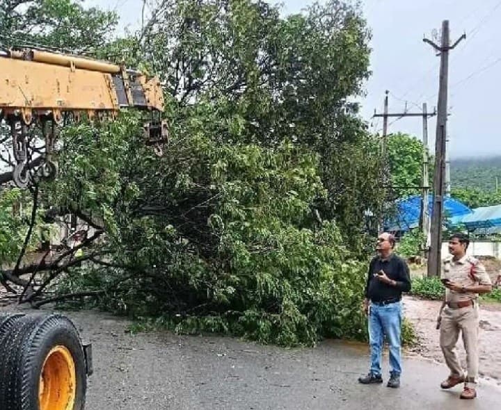 జాతీయ రహదారిపై కూలిన చెట్టు - Udayam