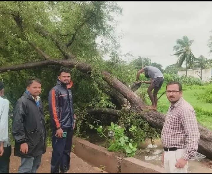 వెదుళ్ళవలస ప్రధాన రహదారిలో కూలిన చెట్టు - Udayam