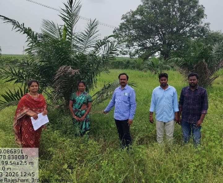 మొక్కలను మూడేళ్లు జాగ్రత్తగా కాపాడుకోవాలి: జిల్లా ఉద్యాన అధికారి రమణ - Udayam