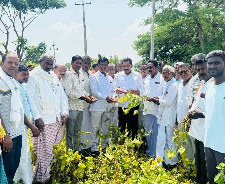 సోయాబీన్ పంట నష్టాన్ని పరిశీలించిన శ్రీకాంత్రెడ్డి - Udayam