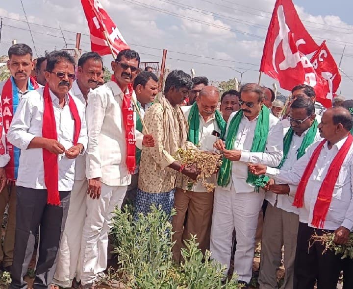 ఎల్నినో ప్రభావంతో కరువు - Udayam