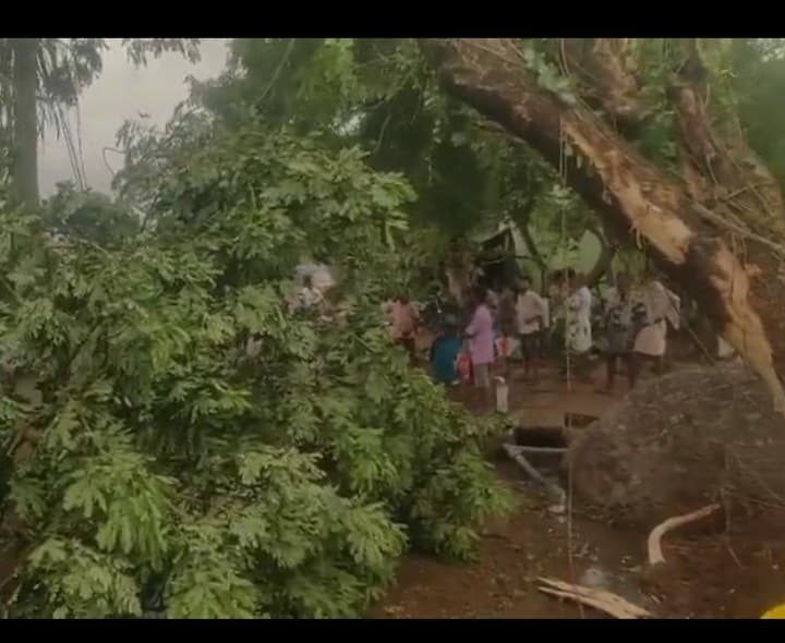 తుఫాన్ విధ్వంసం.. మూడు రోజుల నష్టాలు - Udayam