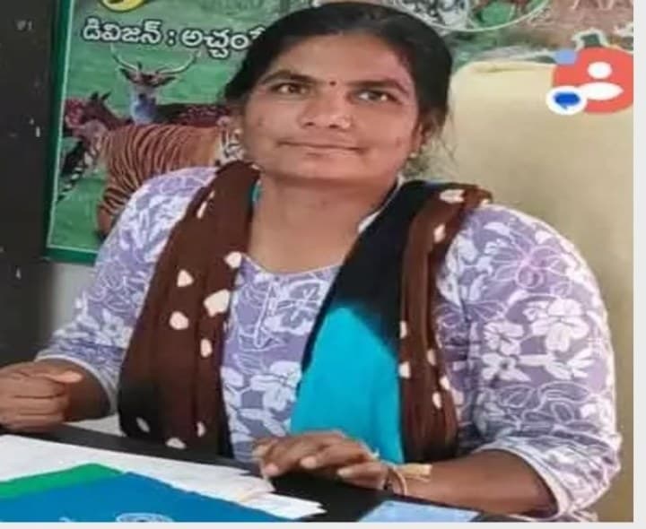 అడవుల్లోకి గొర్రెలను తీసుకెళ్లొద్దు.. ఎఫ్ఆర్వో - Udayam