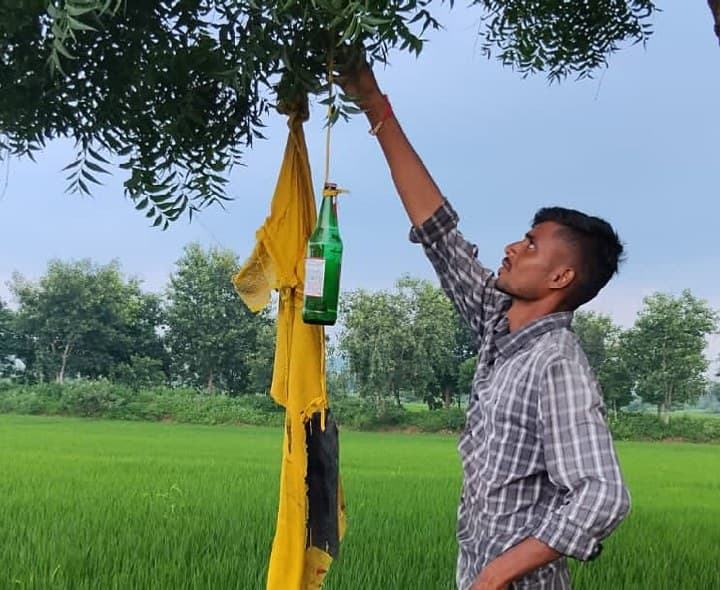 పంట రక్షణకు బీరు సీసాలతో వినూత్న ప్రయోగం - Udayam