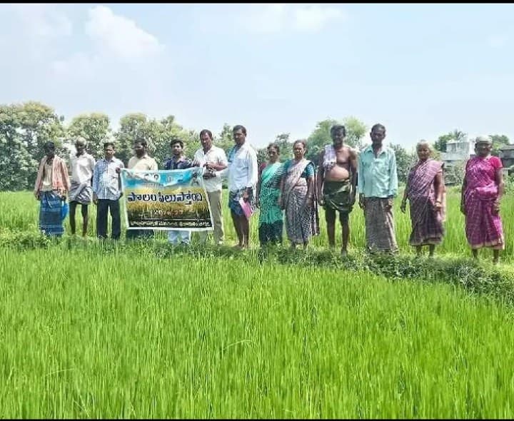 కురుడులో పొలం పిలుస్తోంది కార్యక్రమం - Udayam
