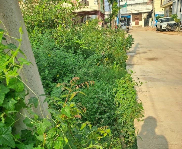 సాయి నగర్ కాలనీలో అస్తవ్యస్తంగా డ్రైనేజీ వ్యవస్థ - Udayam