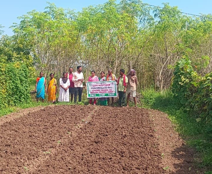 రైతులు కూరగాయల సాగుపై దృష్టి సారించాలి - Udayam