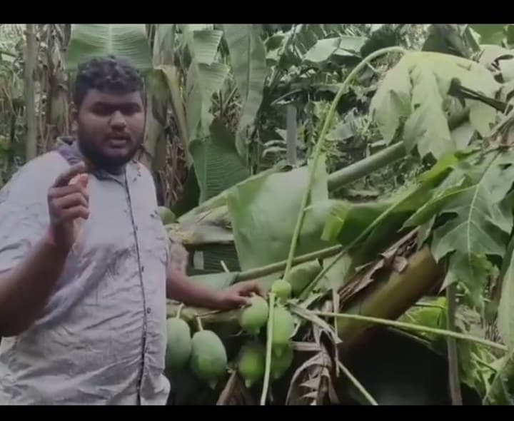 తుఫాన్ దెబ్బకు 100 ఎకరాల్లో పంట నష్టం - Udayam