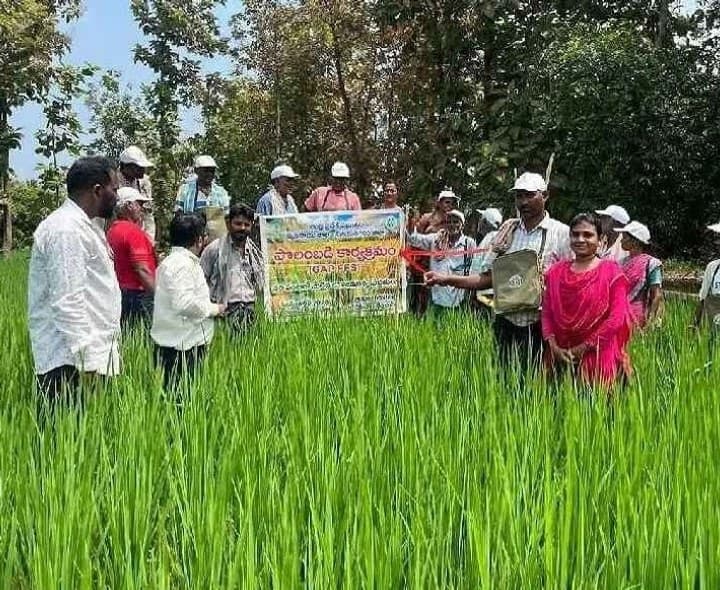 పొలం బడి కార్యక్రమం నిర్వహించిన వ్యవసాయ అదికారి - Udayam