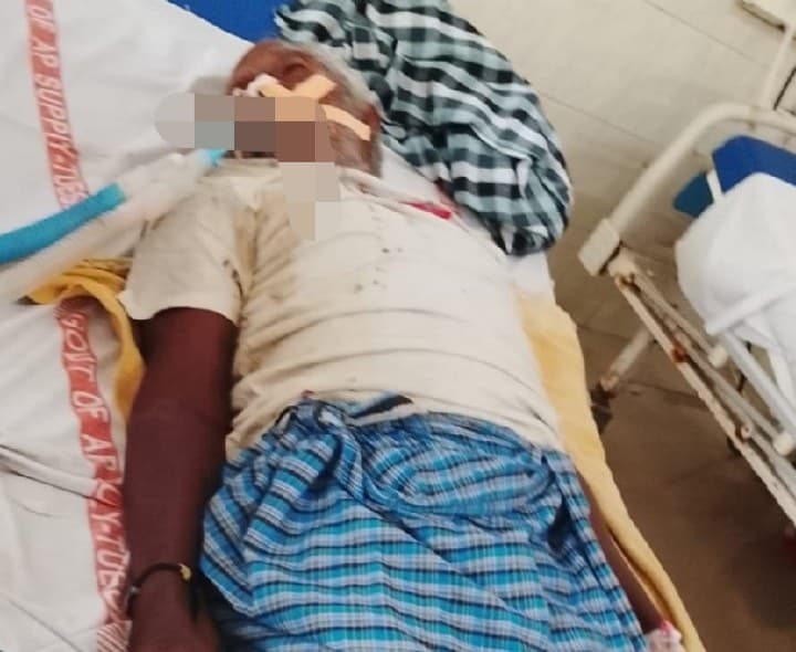 పాము కాటుకు వృద్ధుడు మృతి - Udayam