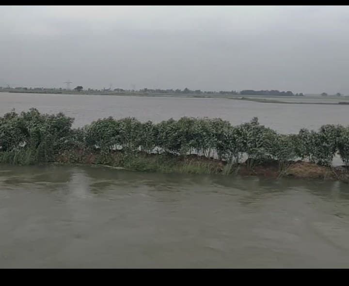 ఎల్.ఎన్.పేట: నాలుగు రోజులుగా తగ్గని వరద నీరు - Udayam