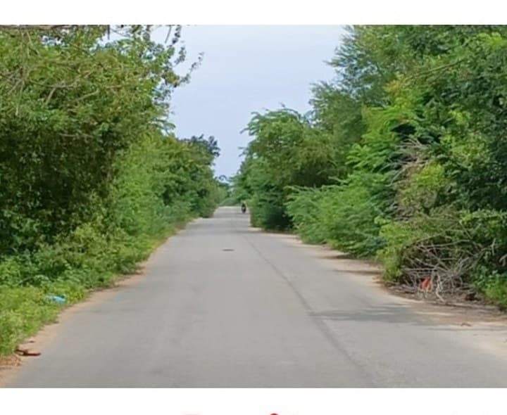 ఆత్మకూరు - కురుమూర్తి రహదారిపై ప్రమాదాలకు పొంచి ఉన్న ముప్పు - Udayam
