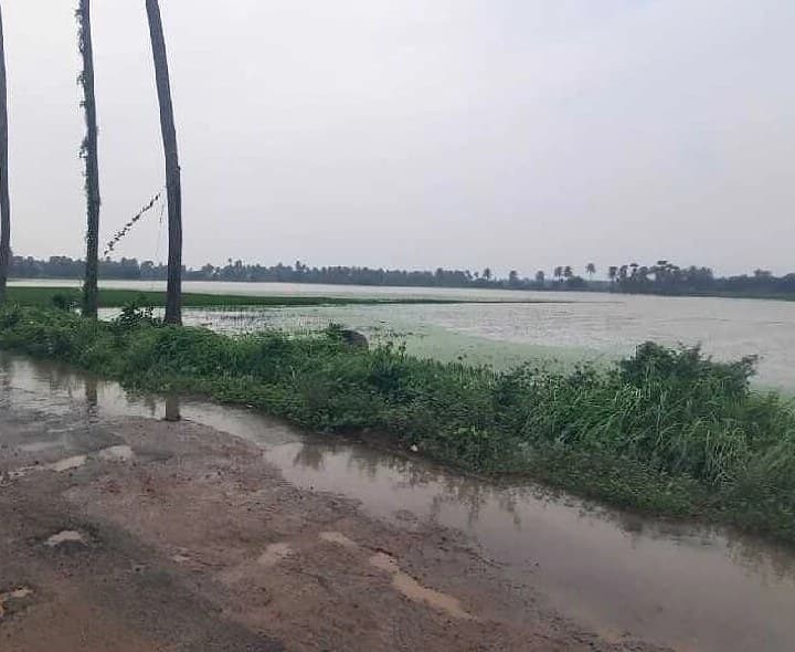 కిర్లంపూడి మండలంలో భారీ వర్షాలకు నీటమునిగిన పంట పొలాలు - Udayam