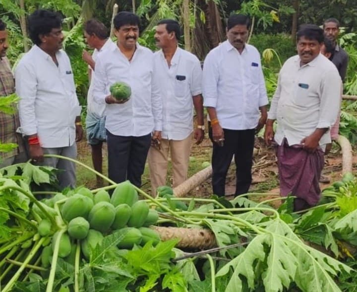 దెబ్బతిన్న పంటలను పరిశీలించిన మాజీ ఎంపీ - Udayam