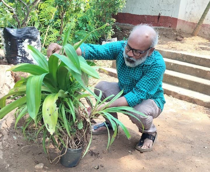 తీర ప్రాంత రక్షణ కోసం మొగలి వనాలను పెంచండి - Udayam