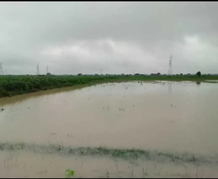 తెనాలి డివిజన్లో 85.8 మిల్లీమీటర్ల వర్షపాతం - Udayam