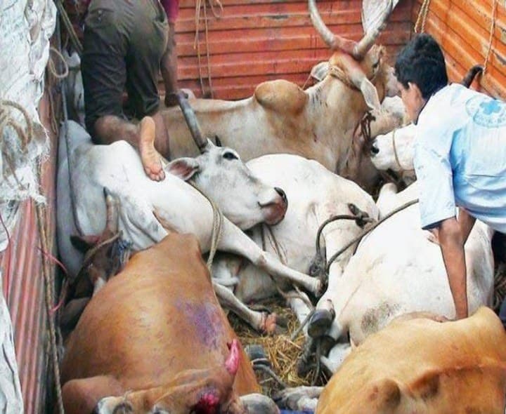 అక్రమ రవాణాకు అడ్డాగా సమ్మక్క బ్యారేజ్ - Udayam